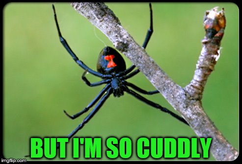 BUT I'M SO CUDDLY | made w/ Imgflip meme maker