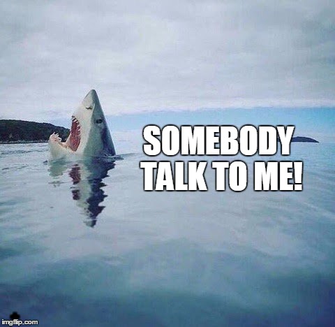 A shark gets lonely | + | image tagged in shark_head_out_of_water,sadly i am only an eel,lonely | made w/ Imgflip meme maker