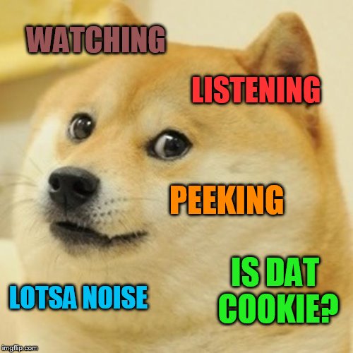 Doge Meme | WATCHING LISTENING PEEKING LOTSA NOISE IS DAT COOKIE? | image tagged in memes,doge | made w/ Imgflip meme maker