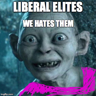Gollum | LIBERAL ELITES; WE HATES THEM | image tagged in memes,gollum | made w/ Imgflip meme maker