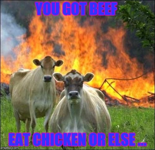 Evil Cows | YOU GOT BEEF; EAT CHICKEN OR ELSE ... | image tagged in memes,evil cows | made w/ Imgflip meme maker
