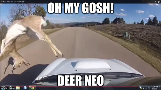 Deer TE37 | OH MY GOSH! DEER NEO | image tagged in deer te37 | made w/ Imgflip meme maker