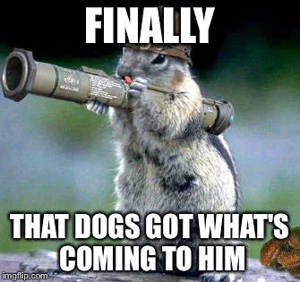 Bazooka Squirrel | FINALLY; THAT DOGS GOT WHAT'S COMING TO HIM | image tagged in memes,bazooka squirrel | made w/ Imgflip meme maker