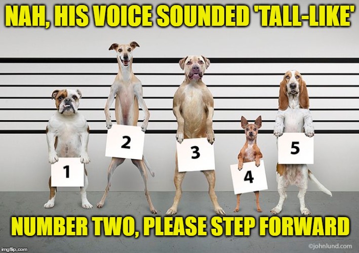 NAH, HIS VOICE SOUNDED 'TALL-LIKE' NUMBER TWO, PLEASE STEP FORWARD | made w/ Imgflip meme maker