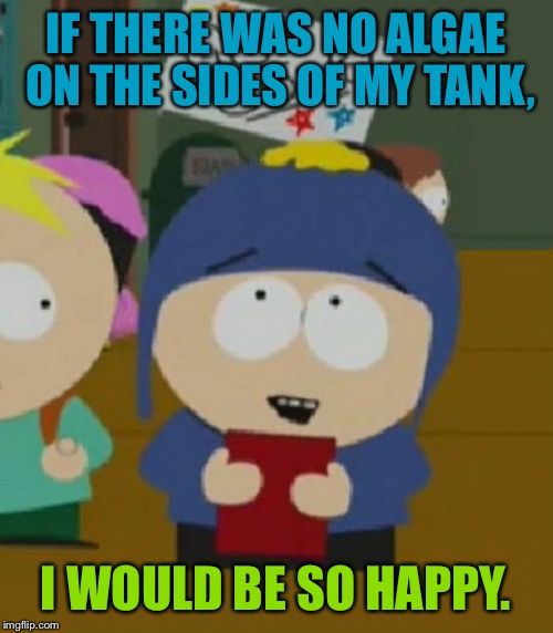I would be so happy | IF THERE WAS NO ALGAE ON THE SIDES OF MY TANK, I WOULD BE SO HAPPY. | image tagged in i would be so happy | made w/ Imgflip meme maker