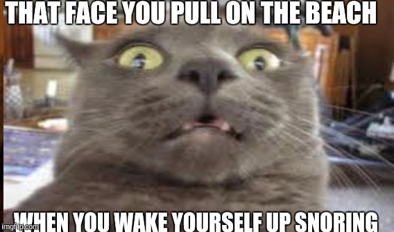 THAT FACE YOU PULL ON THE BEACH; WHEN YOU WAKE YOURSELF UP SNORING | image tagged in cat | made w/ Imgflip meme maker