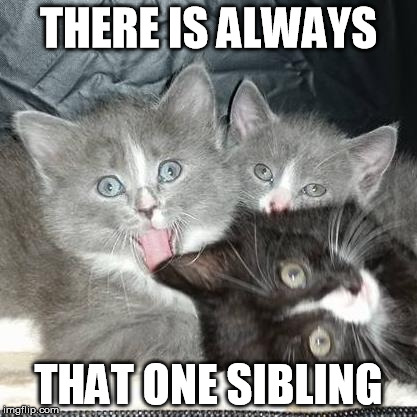 THERE IS ALWAYS; THAT ONE SIBLING | image tagged in siblings | made w/ Imgflip meme maker