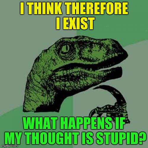 Stupid Thoughts | I THINK THEREFORE I EXIST; WHAT HAPPENS IF MY THOUGHT IS STUPID? | image tagged in memes,philosoraptor | made w/ Imgflip meme maker