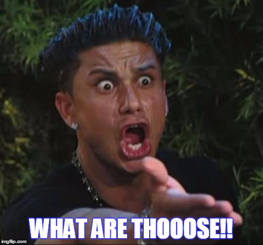 DJ Pauly D Meme | WHAT ARE THOOOSE!! | image tagged in memes,dj pauly d | made w/ Imgflip meme maker