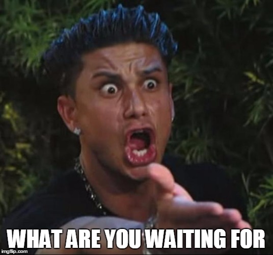 DJ Pauly D | WHAT ARE YOU WAITING FOR | image tagged in memes,dj pauly d | made w/ Imgflip meme maker