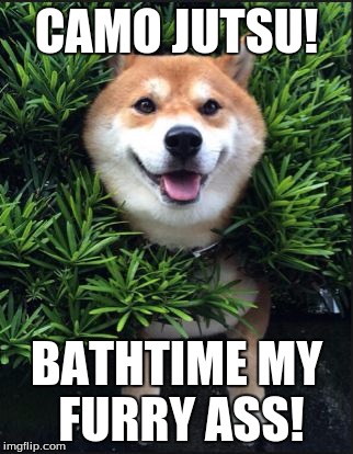 CAMO JUTSU! BATHTIME MY FURRY ASS! | image tagged in jutsu dog | made w/ Imgflip meme maker