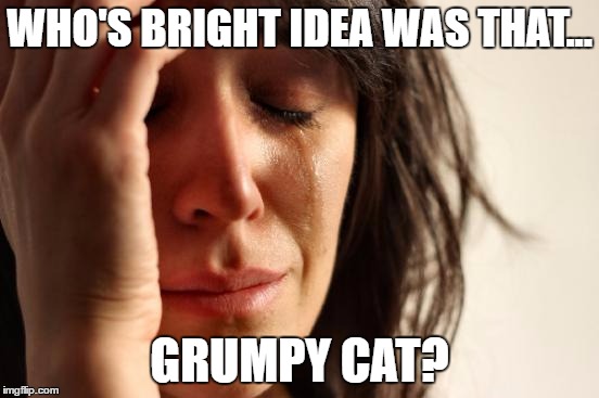 First World Problems Meme | WHO'S BRIGHT IDEA WAS THAT... GRUMPY CAT? | image tagged in memes,first world problems | made w/ Imgflip meme maker