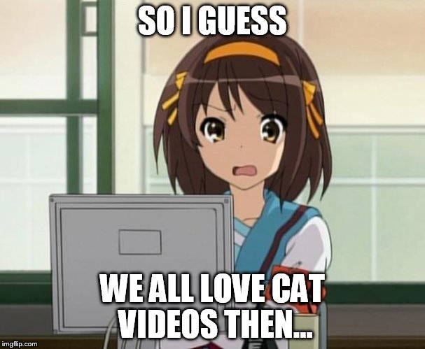 Haruhi Internet disturbed | SO I GUESS WE ALL LOVE CAT VIDEOS THEN... | image tagged in haruhi internet disturbed | made w/ Imgflip meme maker