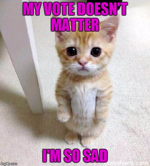 Cute Cat Meme | MY VOTE DOESN'T MATTER; I'M SO SAD | image tagged in memes,cute cat | made w/ Imgflip meme maker