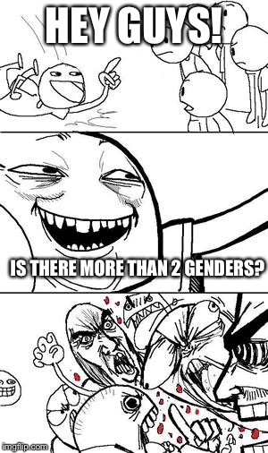 Trollbait | HEY GUYS! IS THERE MORE THAN 2 GENDERS? | image tagged in trollbait | made w/ Imgflip meme maker