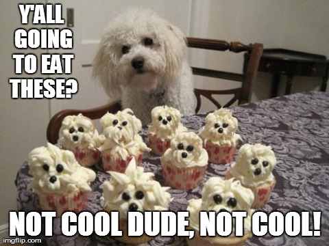 image tagged in funny,dogs,food,cupcakes | made w/ Imgflip meme maker