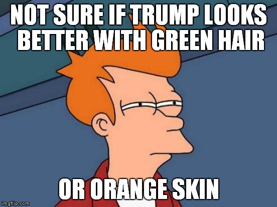 Futurama Fry Meme | NOT SURE IF TRUMP LOOKS BETTER WITH GREEN HAIR OR ORANGE SKIN | image tagged in memes,futurama fry | made w/ Imgflip meme maker