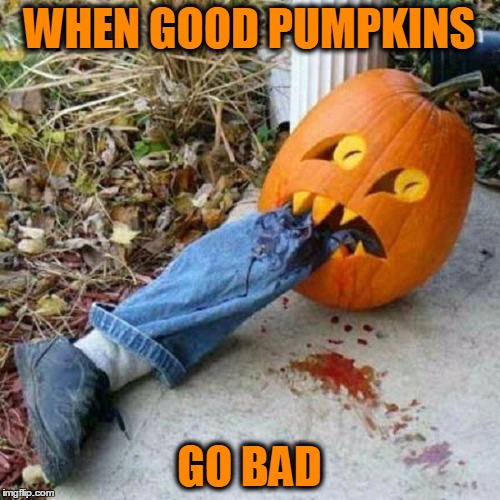 Halloween Ha-ha's | WHEN GOOD PUMPKINS; GO BAD | image tagged in meme,halloween,pumpkins,jack-o-lanterns,funny | made w/ Imgflip meme maker