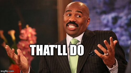 Steve Harvey Meme | THAT'LL DO | image tagged in memes,steve harvey | made w/ Imgflip meme maker