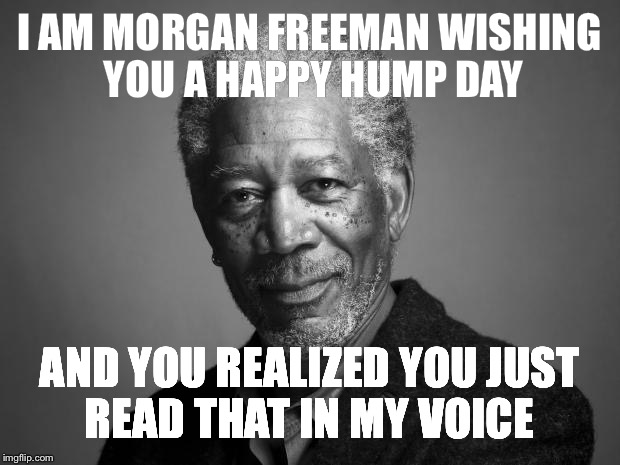 Morgan Freeman | I AM MORGAN FREEMAN WISHING YOU A HAPPY HUMP DAY; AND YOU REALIZED YOU JUST READ THAT IN MY VOICE | image tagged in morgan freeman | made w/ Imgflip meme maker