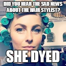 DID YOU HEAR THE SAD NEWS ABOUT THE HAIR STYLIST? SHE DYED | image tagged in corny joke hedgehog | made w/ Imgflip meme maker
