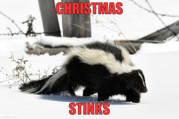 Skunk in Snow | CHRISTMAS; STINKS | image tagged in skunk in snow | made w/ Imgflip meme maker