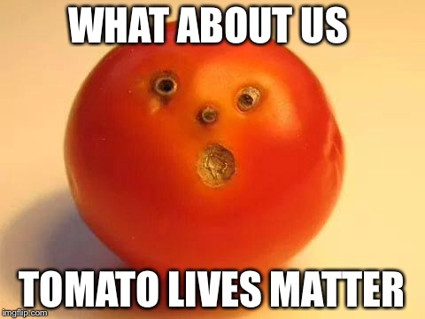 WHAT ABOUT US TOMATO LIVES MATTER | made w/ Imgflip meme maker