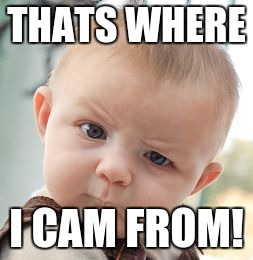 Skeptical Baby Meme | THATS WHERE; I CAM FROM! | image tagged in memes,skeptical baby | made w/ Imgflip meme maker