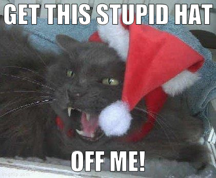 Christmas Cheer | GET THIS STUPID HAT; OFF ME! | image tagged in christmas cheer | made w/ Imgflip meme maker