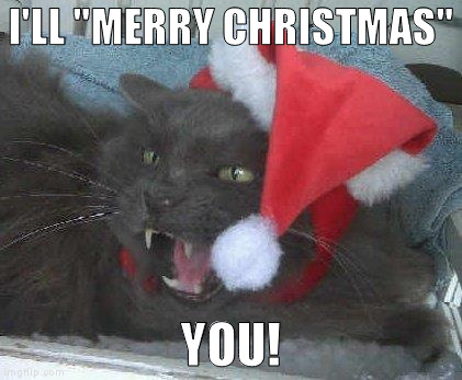 Christmas Cheer | I'LL "MERRY CHRISTMAS"; YOU! | image tagged in christmas cheer | made w/ Imgflip meme maker