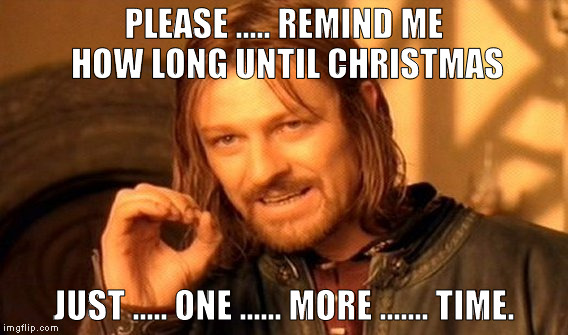 One Does Not Simply | PLEASE ..... REMIND ME HOW LONG UNTIL CHRISTMAS; JUST ..... ONE ...... MORE ....... TIME. | image tagged in memes,one does not simply | made w/ Imgflip meme maker