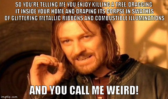 One Does Not Simply | SO YOU'RE TELLING ME YOU ENJOY KILLING A TREE, DRAGGING IT INSIDE YOUR HOME AND DRAPING ITS CORPSE IN SWATHES OF GLITTERING METALLIC RIBBONS AND COMBUSTIBLE ILLUMINATIONS; AND YOU CALL ME WEIRD! | image tagged in memes,one does not simply | made w/ Imgflip meme maker