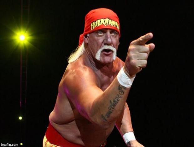 Hulk Hogan | image tagged in hulk hogan | made w/ Imgflip meme maker