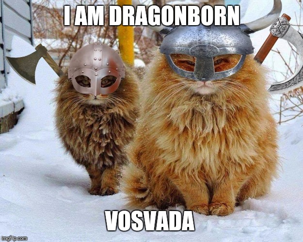 Viking Cats | I AM DRAGONBORN; VOSVADA | image tagged in viking cats | made w/ Imgflip meme maker
