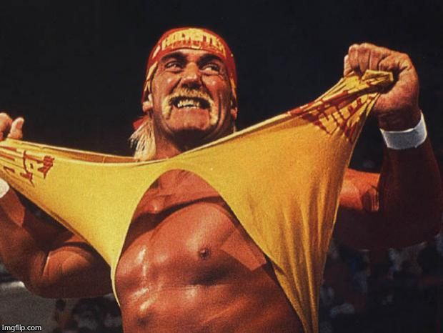 hulk hogan | image tagged in hulk hogan | made w/ Imgflip meme maker