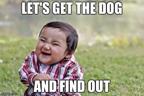 Evil Toddler Meme | LET'S GET THE DOG AND FIND OUT | image tagged in memes,evil toddler | made w/ Imgflip meme maker