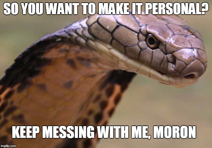 NEVER A GOOD IDEA TO MAKE IT PERSONAL | SO YOU WANT TO MAKE IT PERSONAL? KEEP MESSING WITH ME, MORON | image tagged in snakes,pissed off,memes | made w/ Imgflip meme maker