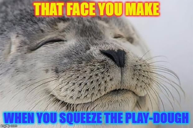 Satisfied Seal | THAT FACE YOU MAKE; WHEN YOU SQUEEZE THE PLAY-DOUGH | image tagged in memes,satisfied seal | made w/ Imgflip meme maker