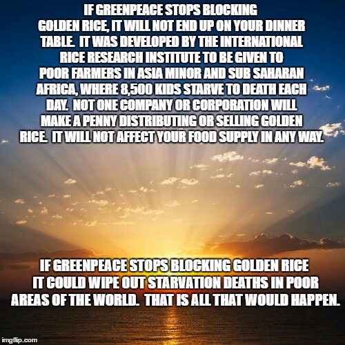 Sunrise | IF GREENPEACE STOPS BLOCKING GOLDEN RICE, IT WILL NOT END UP ON YOUR DINNER TABLE.  IT WAS DEVELOPED BY THE INTERNATIONAL RICE RESEARCH INSTITUTE TO BE GIVEN TO POOR FARMERS IN ASIA MINOR AND SUB SAHARAN AFRICA, WHERE 8,500 KIDS STARVE TO DEATH EACH DAY.  NOT ONE COMPANY OR CORPORATION WILL MAKE A PENNY DISTRIBUTING OR SELLING GOLDEN RICE.  IT WILL NOT AFFECT YOUR FOOD SUPPLY IN ANY WAY. IF GREENPEACE STOPS BLOCKING GOLDEN RICE IT COULD WIPE OUT STARVATION DEATHS IN POOR AREAS OF THE WORLD.  THAT IS ALL THAT WOULD HAPPEN. | image tagged in sunrise | made w/ Imgflip meme maker