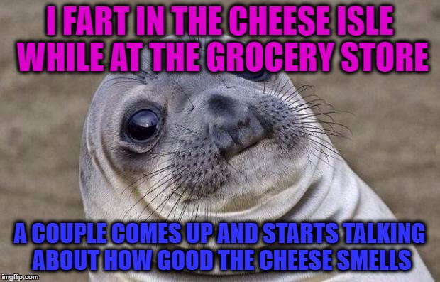 Awkward Moment Sealion | I FART IN THE CHEESE ISLE WHILE AT THE GROCERY STORE; A COUPLE COMES UP AND STARTS TALKING ABOUT HOW GOOD THE CHEESE SMELLS | image tagged in memes,awkward moment sealion | made w/ Imgflip meme maker