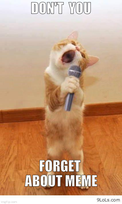 Cat Singer |  DON'T  YOU; FORGET ABOUT MEME | image tagged in cat singer | made w/ Imgflip meme maker