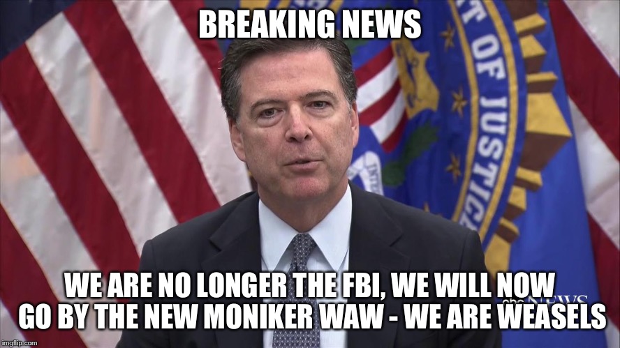 FBI Director James Comey | BREAKING NEWS; WE ARE NO LONGER THE FBI, WE WILL NOW GO BY THE NEW MONIKER WAW - WE ARE WEASELS | image tagged in fbi director james comey | made w/ Imgflip meme maker