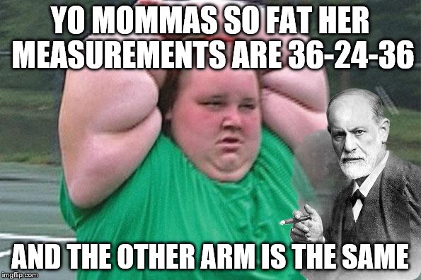 YO MOMMAS SO FAT HER MEASUREMENTS ARE 36-24-36 AND THE OTHER ARM IS THE SAME | made w/ Imgflip meme maker