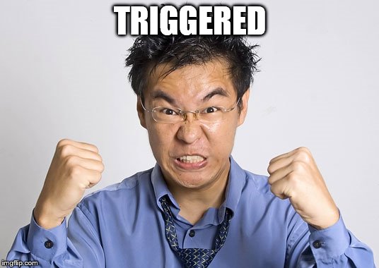 TRIGGERED | made w/ Imgflip meme maker