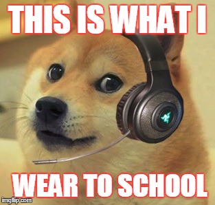 Doge cs go | THIS IS WHAT I; WEAR TO SCHOOL | image tagged in doge cs go | made w/ Imgflip meme maker