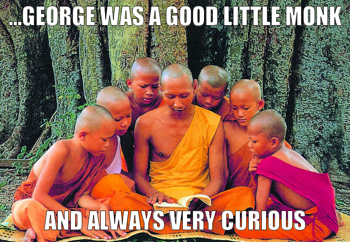 Story time | ...GEORGE WAS A GOOD LITTLE MONK; AND ALWAYS VERY CURIOUS | image tagged in curious george,buddhism,story time,orange lives matter,children,memes | made w/ Imgflip meme maker