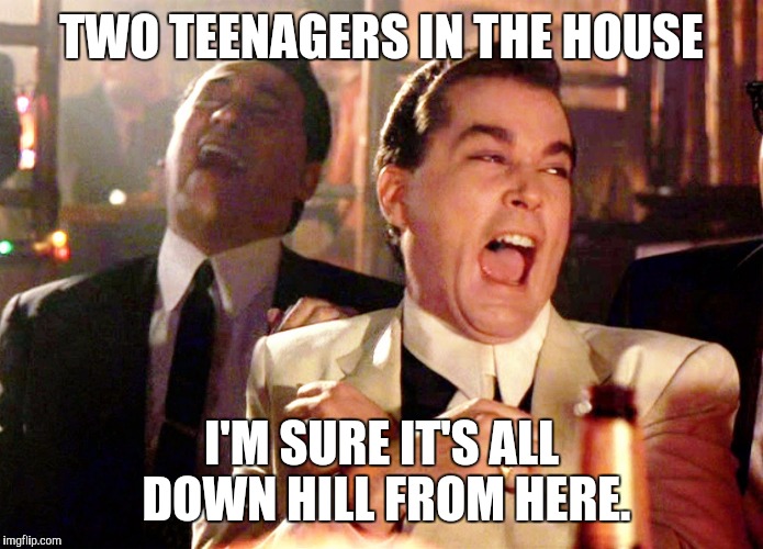 Good Fellas Hilarious Meme | TWO TEENAGERS IN THE HOUSE; I'M SURE IT'S ALL DOWN HILL FROM HERE. | image tagged in memes,good fellas hilarious | made w/ Imgflip meme maker