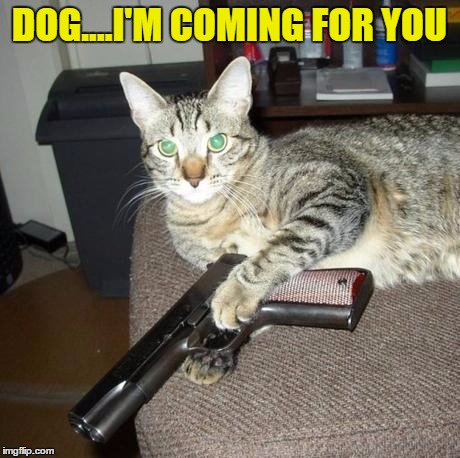 DOG....I'M COMING FOR YOU | made w/ Imgflip meme maker