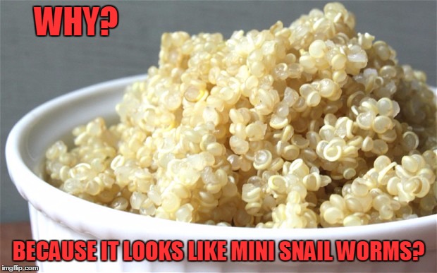 WHY? BECAUSE IT LOOKS LIKE MINI SNAIL WORMS? | made w/ Imgflip meme maker