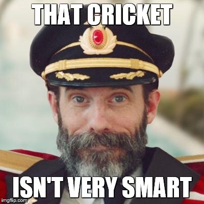 Captain Obvious | THAT CRICKET ISN'T VERY SMART | image tagged in captain obvious | made w/ Imgflip meme maker